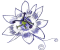 logo_passiflora_mini_footer